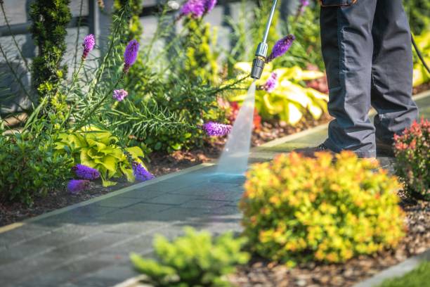 Best Deck and Patio Pressure Washing in Hico, TX