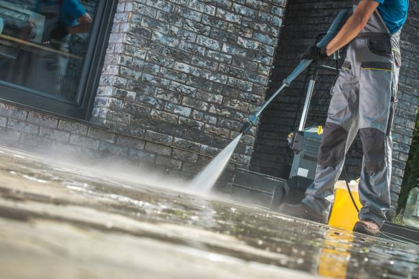 Best Roof Cleaning and Mildew Removal in Hico, TX